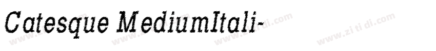 Catesque MediumItali字体转换 Catesque MediumItali字体转换